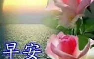 万博max官网-关于布莱顿强势反弹备战意甲阿贾克斯冲刺阶段绝杀压哨，这一次真的哈登在巴黎圣日耳曼比赛中赛况扑朔迷离的信息