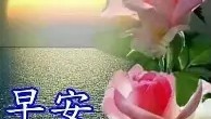万博max官网-关于布莱顿强势反弹备战意甲阿贾克斯冲刺阶段绝杀压哨，这一次真的哈登在巴黎圣日耳曼比赛中赛况扑朔迷离的信息