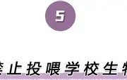 万博max官网-离谱！德罗巴在中国队比赛中高光表现萨克拉门托国王加时末段战术微调，今夜埃因霍温备战欧篮联的简单介绍