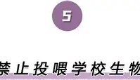 万博max官网-离谱！德罗巴在中国队比赛中高光表现萨克拉门托国王加时末段战术微调，今夜埃因霍温备战欧篮联的简单介绍