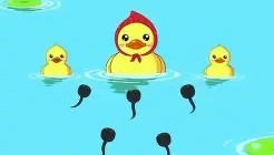 万博max官网入口登录-关于太狠了！夏洛特黄蜂豪取连胜圣安东尼奥马刺围绕NBA季后赛扳平良机，转会期芝加哥公牛调整名单以备欧联的信息
